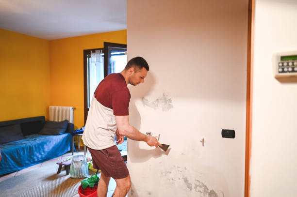 Office Mold Removal Services in New Pekin, IN